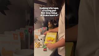 Download lagu Jadi jangan asyik sikit-sikit nak marah kucing je🥰 mp3