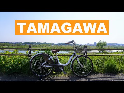 Travel in Tokyo: Biking Along the Tamagawa