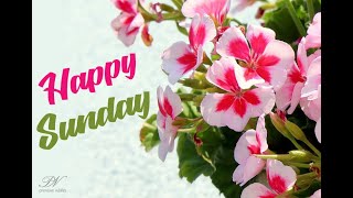 Happy Sunday Greetings - Happy Sunday Wishes