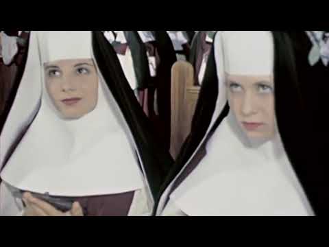 Thumbnail for Studley Lush And The Teenyboppers From Hell - "Going Down On A Nun" by Nic Dalton