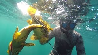 preview picture of video 'Наши в Находке 2.  Spearfishing Vladivostok'