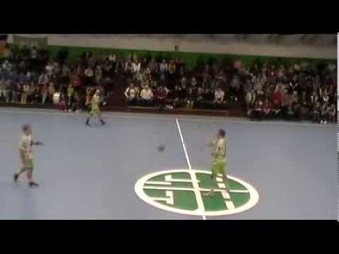 HSG Köthen vs. GoGo Hornets