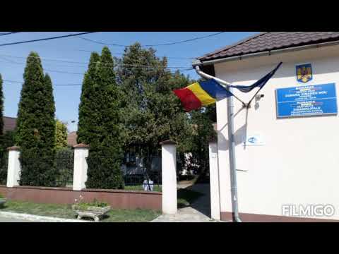 Primăria (Zimandu Nou) 🏘️ City Hall (Zimandu Nou)