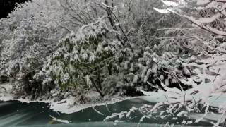 Chris Rea - Driving Home For Christmas 1080P