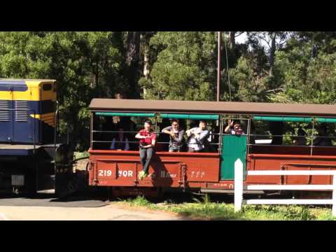 Puffing Billy Melbourne