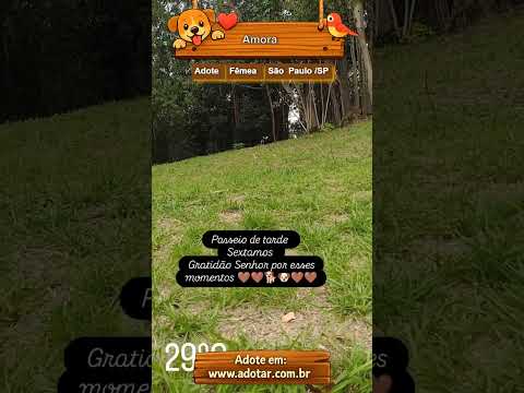 Vídeo de Amora