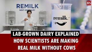 Download lagu What is lab-grown milk — and how could it shake up the dairy world? mp3 Download lagu What is lab-grown milk — and how could it shake up the dairy world? mp3