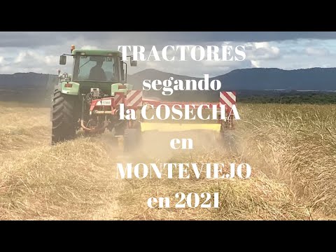 TRACTORES segando LA COSECHA en MONTEVIEJO 2021