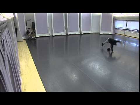 plavin 2013 12 05 12 42 36