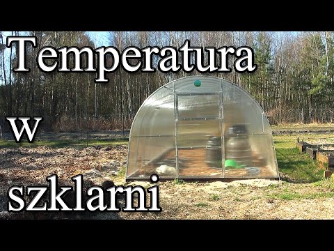 Ogrodowe pierdamony 44 - temperatura w szklarni