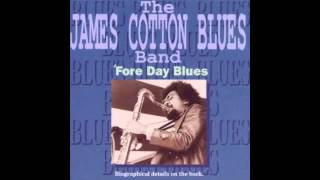 James Cotton - Off The Wall (Little Walter)