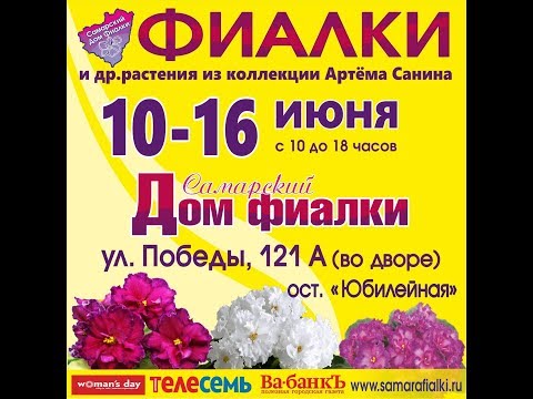 ВЫСТАВКА ФИАЛОК и др. геснериевых,Самарский Дом фиалки,10-16 июня.