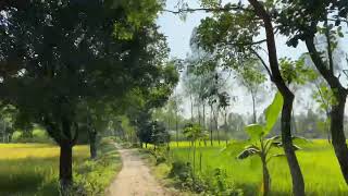 মির্জাপুরের ঝলঝলির কাঁচা রাস্তা!