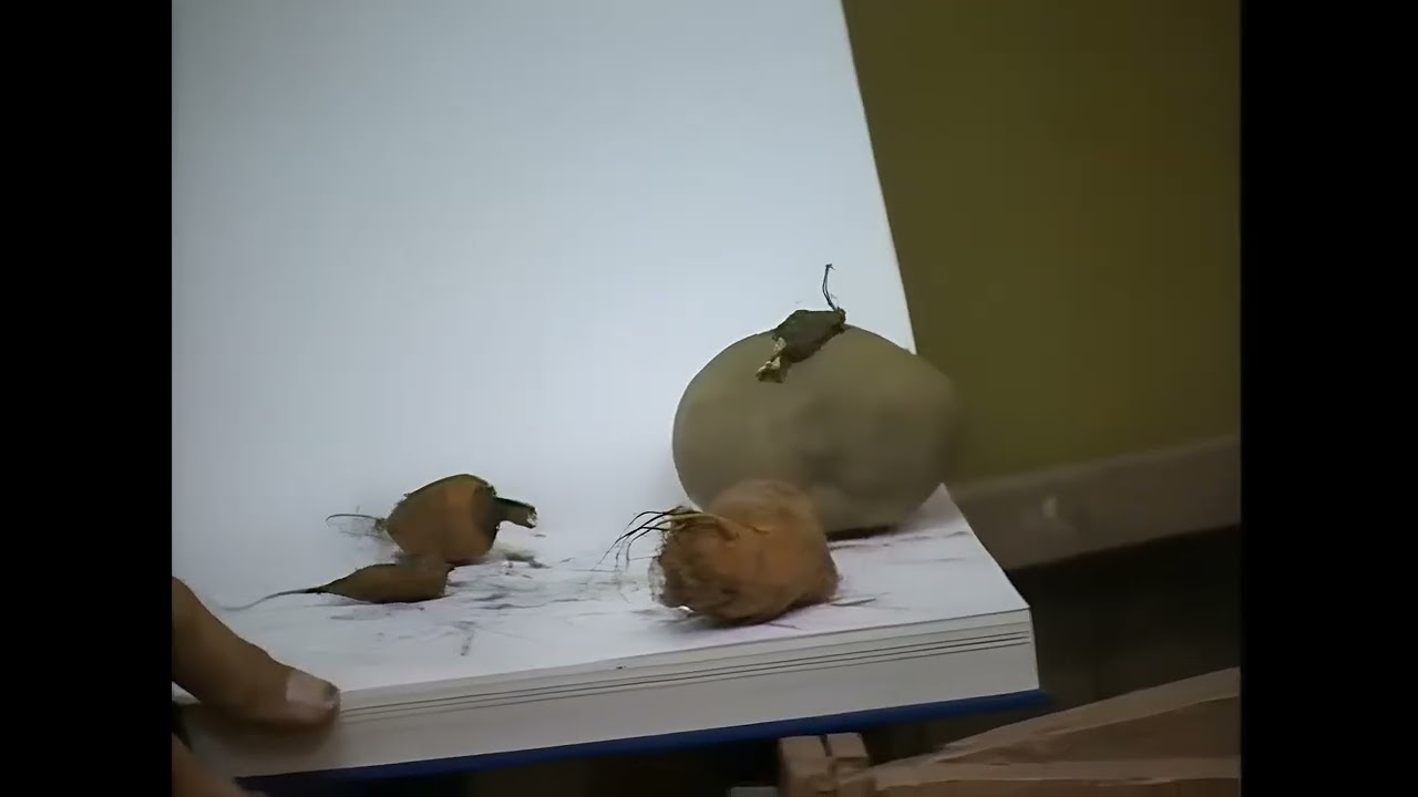 005 pf-ERDE am HIMMEL (Enhanced 4K)