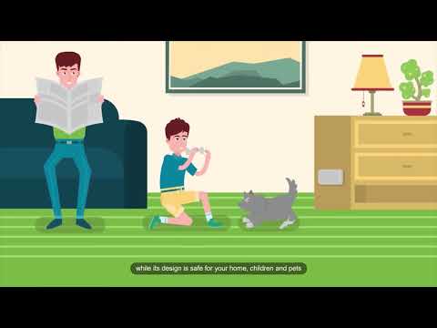 Xterm Video