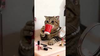 Drinking moco MONKEY HAND lol #ai #capcut #cat #kawaii #funny