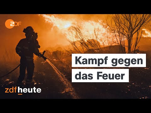 Flammen zerstören Dörfer: Waldbrände wüten in Spanien und Portugal | auslandsjournal