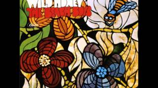 The Beach Boys Revisionist Series  Wild Honey  12  Can't Wait Too Long