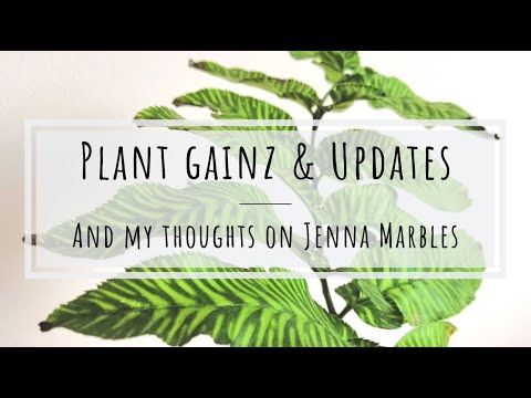 Plant gainz and my thoughts on Jenna Marbles