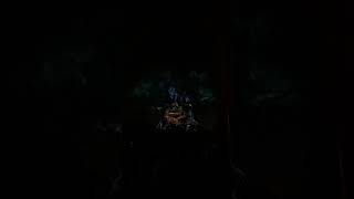 Tree of Life Awakenings Light Show at Animal Kingdom Disney World Orlando