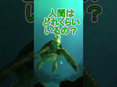 How many turtles are there in the world? [Turtle Talk] Tokyo DisneySea