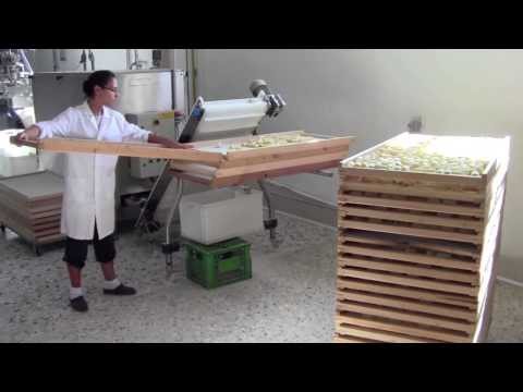 download lagu mp3 mp4 Impianti Produzione Pasta, download lagu Impianti Produzione Pasta gratis, unduh video klip Impianti Produzione Pasta