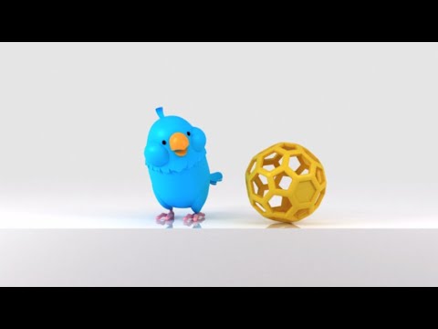 Bird play