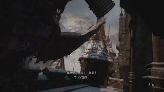 #1バイオハザード8 ストーリー重視