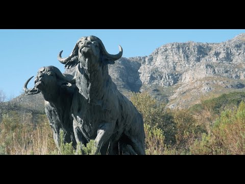 The magnificent Dylan Lewis Sculpture Garden