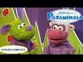 Piyanimales Lo Siento Mucho De Verdad Episodio Completo