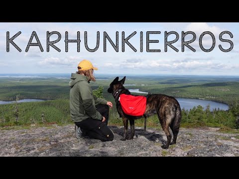 Karhunkierros koiran kanssa | The Bear's Trail 82 km