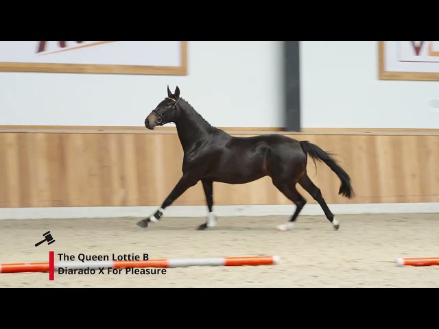 The Queen Lottie B