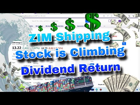 Why ZIM Integrated Shipping Stock is Rising FAST & Why The Dividend Might Be Back