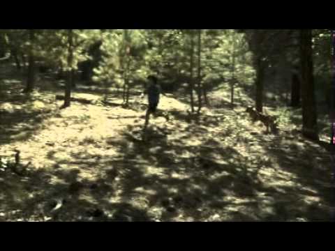 Eine Tierische Bescherung (Deutscher Trailer)