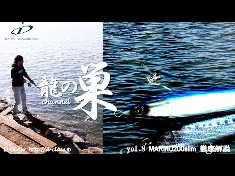 Nuvola アプリの教育言語.svg