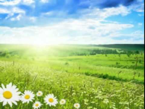 Drugi Način-Obećaj mi proljeće