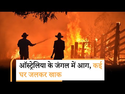 Australia Wildfires | ऑस्ट्रेलिया के न्यू साउथ वेल्स के जंगलों में लगी भीषण आग Australia Wildfires | ऑस्ट्रेलिया के न्यू साउथ वेल्स के जंगलों में लगी भीषण आग