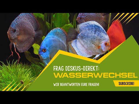 Das A und O für alle Aquarienfreunde / Der WASSERWECHSEL ;)