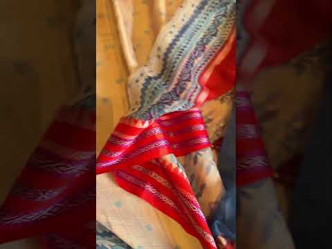 Fusion Kota Doria Hand Block Printed Saree with Karvati Kinar Silk Temple Border