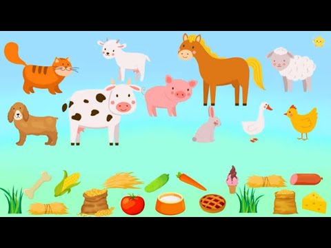 Сборник Животные для детей Обучающие развивающие мультики для самых маленьких