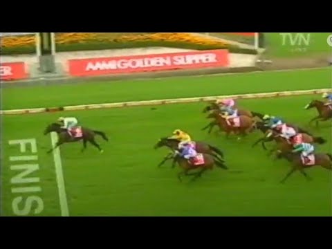 2008/2009 Season (7/9) Rosehill Guineas Day - Golden Slipper Stakes