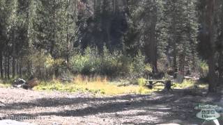 Upper Soda Springs Campground Video