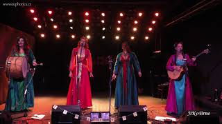 Video Euphorica | Tri martolod - pagan world music