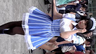 激カワ！　黒タイツのメイド　コスプレイヤー