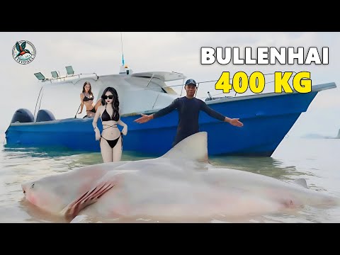 Die Reise zur Jagd auf den Bullenhai: Der Kampf zwischen Mensch und Meeresmonster! #angeln