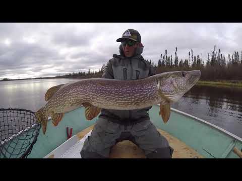 BACK TO BACK TO BACK GIANT PIKE on the Svartzonker Tackle McRubber