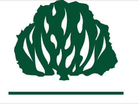 A Segurança do Crente - HNC 146