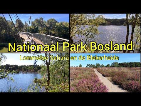 Nationaal Park Bosland, Lommelse Sahara en de Blekerheide