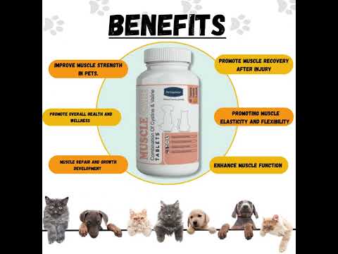 Muscle Care Tablets For Pets- Aniamor -Pet Supplement-60 Tablets