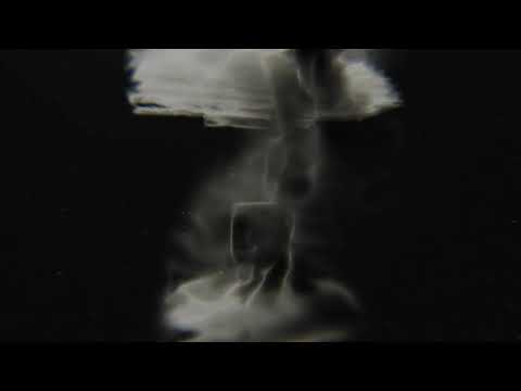 Korn - My Confession (Official Audio)